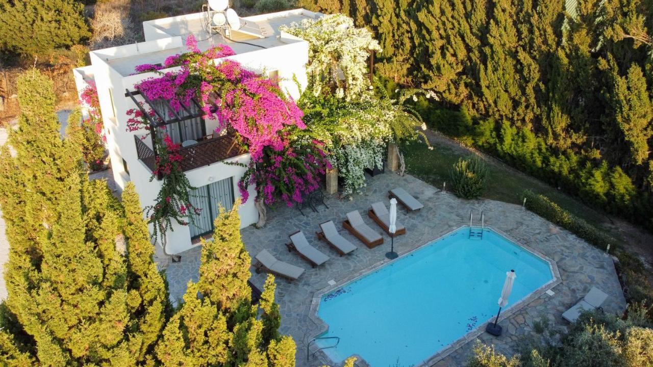 Banana Sunset Villas Paphos ภายนอก รูปภาพ