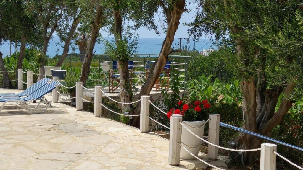 Banana Sunset Villas Paphos ภายนอก รูปภาพ