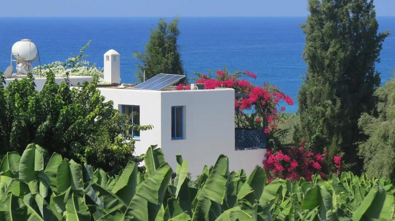 Banana Sunset Villas Paphos ภายนอก รูปภาพ
