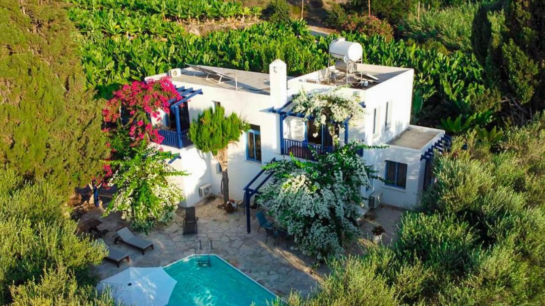 Banana Sunset Villas Paphos ภายนอก รูปภาพ