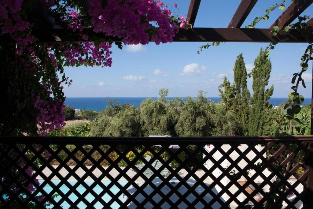 Banana Sunset Villas Paphos ภายนอก รูปภาพ
