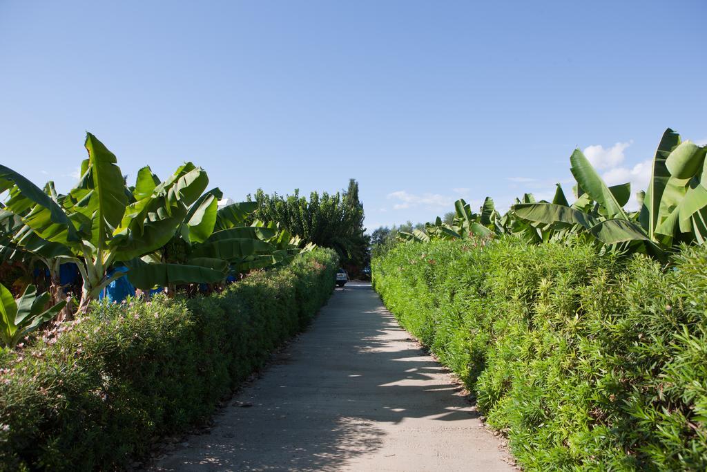 Banana Sunset Villas Paphos ภายนอก รูปภาพ